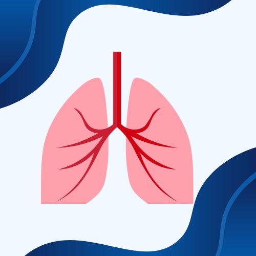 Comparative analysis of lung cancer detection using Machine learning